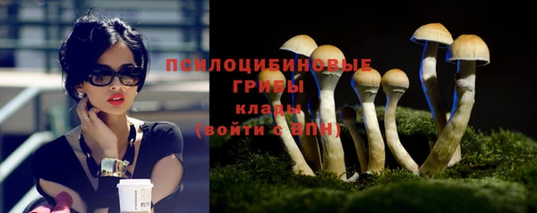 ГАЛЛЮЦИНОГЕННЫЕ ГРИБЫ Абаза