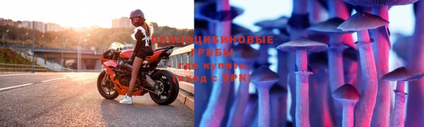 ГАЛЛЮЦИНОГЕННЫЕ ГРИБЫ Абаза