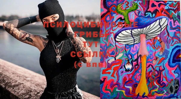 дурь Абинск