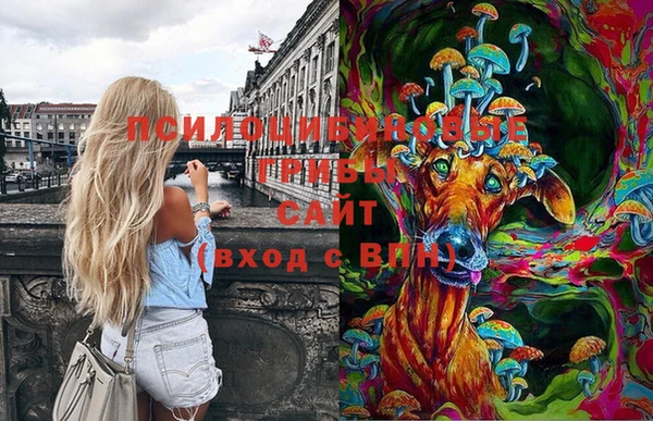 ГАЛЛЮЦИНОГЕННЫЕ ГРИБЫ Абаза