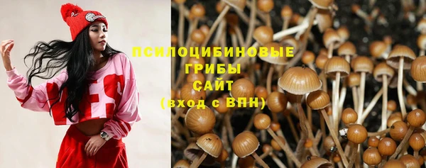 дурь Абинск