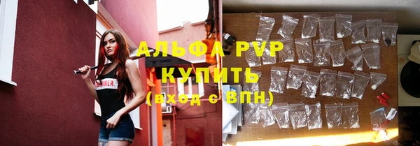 ГАЛЛЮЦИНОГЕННЫЕ ГРИБЫ Абаза