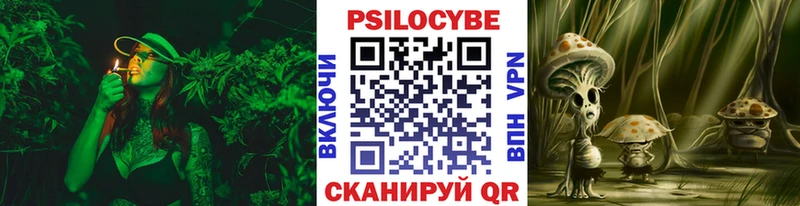 Галлюциногенные грибы Magic Shrooms  Ртищево 