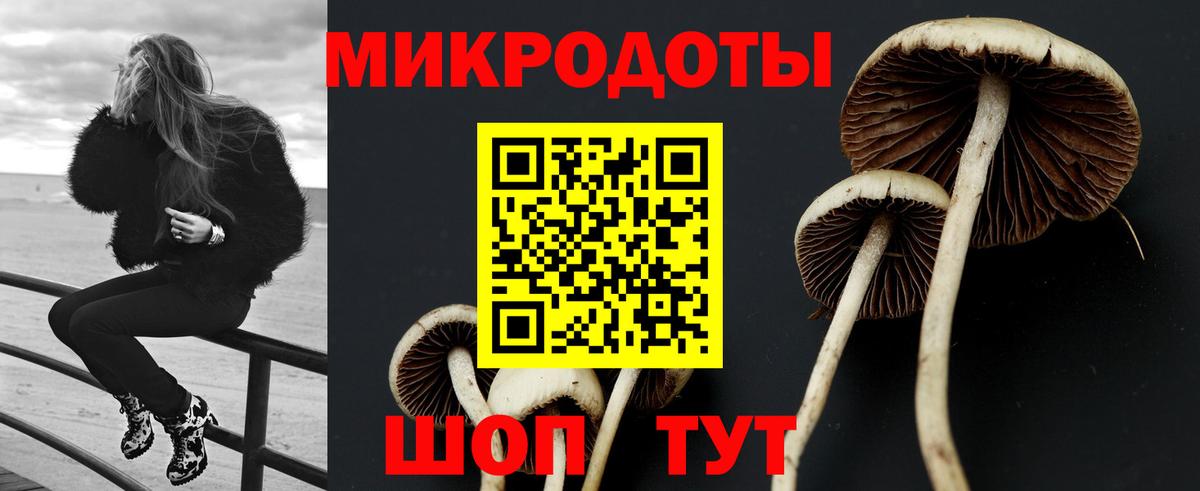 Ртищево  Псилоцибиновые грибы мухоморы  Вход с VPN  Псилоцибиновые грибы Psilocybe 