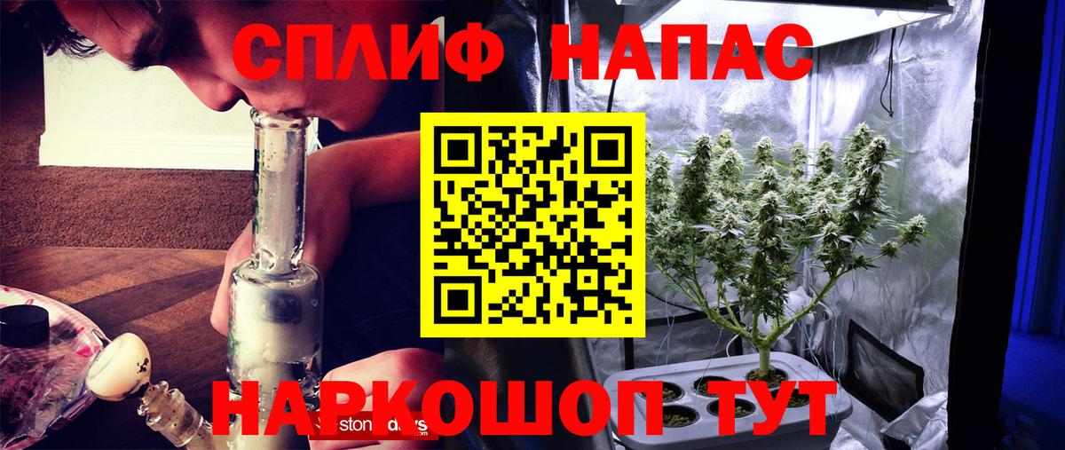 Шишки марихуана OG Kush  Марихуана VHQ  Ртищево  Вход с VPN 